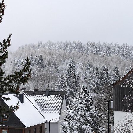 Ferienwohnungen Zauberberg, Schneehase & Glitzerhirsch كورورت اوبرويسنثا المظهر الخارجي الصورة