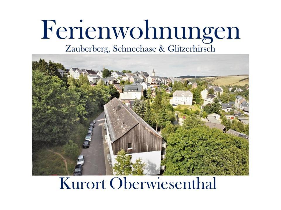 Ferienwohnungen Zauberberg, Schneehase & Glitzerhirsch كورورت اوبرويسنثا المظهر الخارجي الصورة